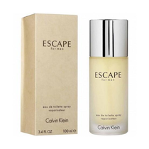 Perfume Calvin Klein Escape Eau de Toilette Masculino 100ML foto 1