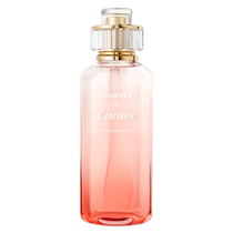 Perfume Cartier Rivières Insouciance Eau de Toilette Unissex 100ML foto principal