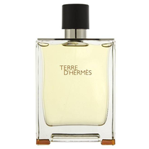 Perfume Hermes Terre D'Hermes Eau de Toilette Masculino 100ML foto principal