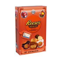 Chocolate Reese s Miniature Cups Assortment 460G