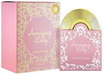 Perfume Chris Adams Amazing Lady Edp 100ML - Feminino