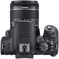 Câmera Digital Canon Rebel T8I 24.1MP 3.0" Lente EF-S 18-55MM IS STM foto 3