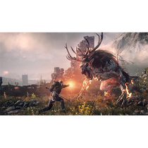 Game The Witcher 3 Wild Hunt Xbox One foto 2