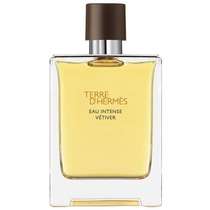 Perfume Hermes Terre D'Hermes Eau Intense Vetiver Eau de Parfum Masculino 100ML foto principal