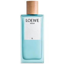 Perfume Loewe Agua Él Eau de Toilette Masculino 100ML foto principal