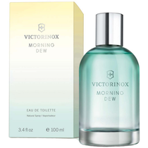 Perfume Victorinox Swiss Army Morning Dew Eau de Toilette Feminino 100ML foto 1
