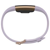 Pulseira Smart Fitbit Charge 2 FB407RGLVL-La Large