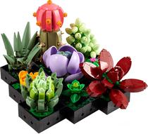 Lego Botanical Succulents - 10309 (771 Pecas)