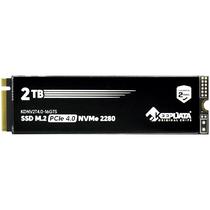SSD M.2 de 2TB Keepdata KDNV2T4.0-16GTS 5.100 MB/s de Leitura - Preto