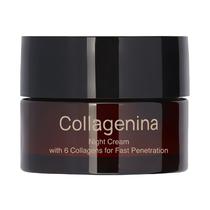 Crema Collagenina 6 Collagens Night Grade 1 50ML