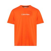 Camiseta Calvin Klein K10K111346 SB1