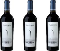 Vinho Pulenta Single Vineyard Series Collection Malbec 2017 (3 Unidades)