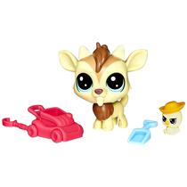 Brinquedo Hasbro Littlest Pet Shop E0464 Pet Pairs Quincy