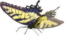 Fascinations Inc Metal Earth MMS125 Butterfly