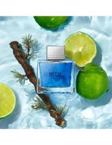 Perfume Antonio Banderas Blue Seduction M Edt 100ML