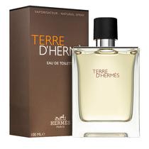 Perfume Hermes Terre D Hermes Edt 100ML - Masculino