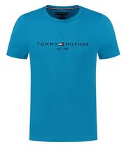 Camiseta Tommy Hilfiger MW0MW11797 Czu - Masculina